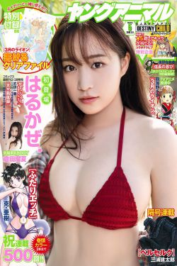 怒火重案国语免费观看